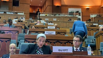 مبادرات عالمية لدعم إفريقيا للتكيف مع تغير المناخ