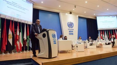 محيي الدين يؤكد تغلب الرؤية الإقليمية المشتركة على معوقات تمويل العمل المناخي