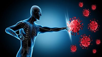 أبرزها التوت والمأكولات البحرية.. أطعمة لتعزيز جهاز المناعة