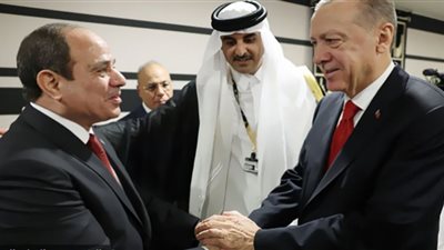 تركيا تشهد على نجاح السيسي في قيادة مصر (فيديو)