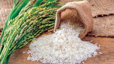 انخفاض الشعير.. أسعار الأرز اليوم الإثنين عند التجار