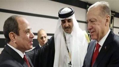 لقاء السيسي وأردوغان.. ذوبان الجليد في العلاقات المصرية التركية
