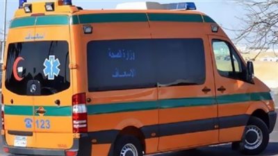 إصابة شاب بطلق نارى فى «شمبارة الميمونة» بالشرقية