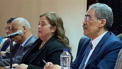 ضياء رشوان: 