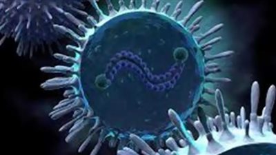 الإجراءات الاحترازية الحل الوحيد لمواجهة الفيروس المخلوي .. فيديو