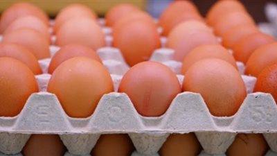انخفاض أسعار البيض.. 15 جنيها خسارة في الكرتونة الواحدة (فيديو)