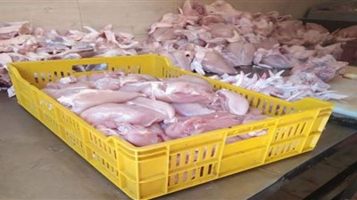 حملات تفتيشية على المجازر والمخابز في منيا القمح بالشرقية