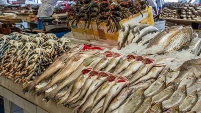 أسعار الأسماك في الأسواق اليوم
