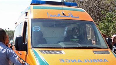 الخلافات الأسرية تنهي حياة سيدة علي يد حما ابنها بسلاح أبيض في البحيرة