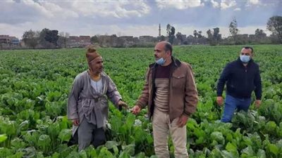 أنشطة وجهود مديريات الزراعة والطب البيطري في أسبوع (إنفوجراف)
