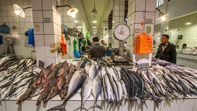 تراجع أسعار الأسماك والمأكولات البحرية اليوم الأحد