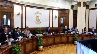 مجلس الوزراء يكشف عن خطة زراعية بمليارات الجنيهات