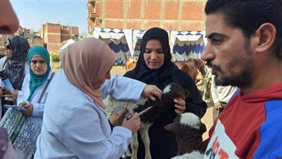 الشرقية: قافلة بيطرية شاملة بالمجان بقرية الحجاجية بفاقوس