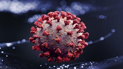 كراكن.. متحور جديد يهدد روسيا