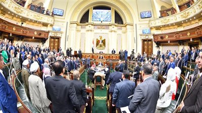 حجازي: التعليم حق أصيل.. والعنف الأسرى ينتهك حقوق الطفل