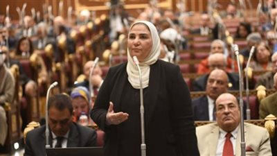 وزيرة التضامن أمام «الشيوخ»: لدينا 12 ألف حضانة غير مرخصة