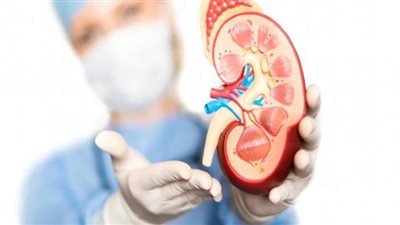 قانون التبرع بالأعضاء بعد الوفاة يثير الجدل