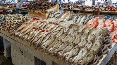 أسعار الأسماك اليوم.. البوري بـ40 جنيها
