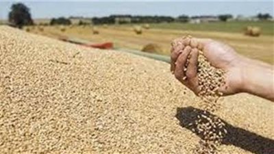 الأزمة بين أمريكا والصين قد تؤثر على إمدادات الحبوب