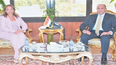 وزير الطيران يبحث مع مفوضة الطاقة والبنية التحتية بالاتحاد الأفريقى سبل تعزيز التعاون
