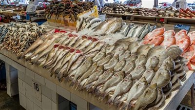 البلطي بـ37 جنيهًا.. أسعار الأسماك في الأسواق اليوم الأربعاء