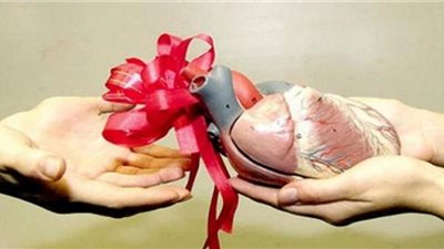 دول أجازت التبرع بالأعضاء بعد الوفاة