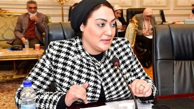 أسماء الجمال: محاولات الوقيعة بين مصر والسعودية مصيرها الفشل
