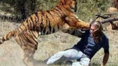 شاهد.. لحظة هجوم حيوان مفترس على سعودي داخل استراحة