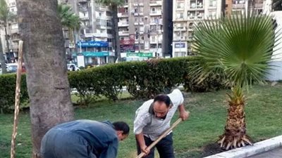 التنمية المحلية تنتهي من زراعة 4 ملايين و347 ألف شجرة بالمحافظات