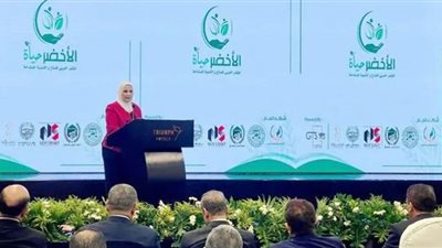 رئيس طاقة النواب: خطوات القيادة السياسية استباقية لحماية مصر من آثار التغيرات المناخية