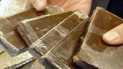 حبس عاطل لحيازته 12 طربة حشيش بالخانكة