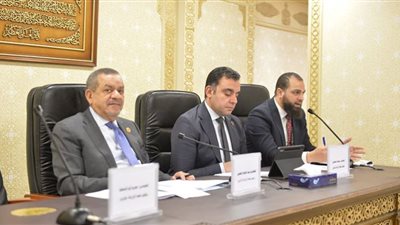 زراعة الشيوخ توصى بخطة عملية لتنفيذ مشروع داجنى بمنازل الريف