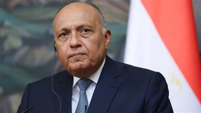 وزير الخارجية يؤكد دور القطاع الخاص في دفع عجلة التعاون الاقتصادى مع إفريقيا