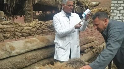 جامعة الزقازيق توجه قافلة بيطرية لقرية بنى عامر