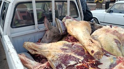 ضبط لحوم مصابة بالحمى القلاعية والصفرا بالقليوبية