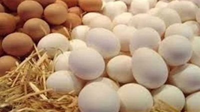 مفاجأة في أسعار كرتونة البيض اليوم الخميس