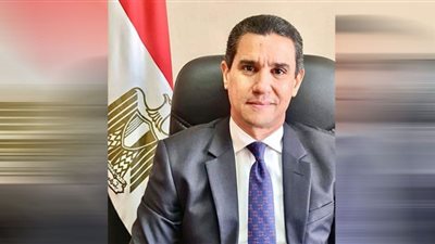مصر تشارك فى اجتماعات العشرين.. والسفير راجى الإتربى ممثلًا للرئيس السيسى