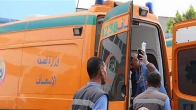 سيارة نقل تنهي حياة طفل بجرجا