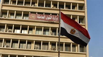 80 فرصة عمل لذوي الهمم بالمنيا