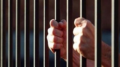 ضبط عاطل حاول إدخال مخدرات داخل دجاج لمسجون شبين القناطر