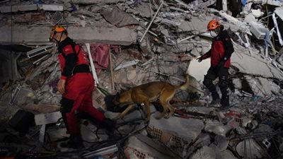 زلزال تركيا.. استقبال كلاب لانتشال الضحايا العالقين تحت الأنقاض