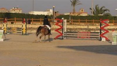 انطلاق الحلقة الرابعة من بطولة الجمهورية للفروسية بمركز بيجاسوس بأكتوبر
