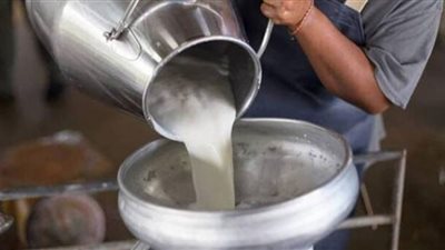 أسعار الألبان والبيض في الأسواق اليوم