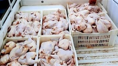 بلاغ ضد مطعم شهير بالشروق والأمن يضبط نصف طن دواجن فاسدة