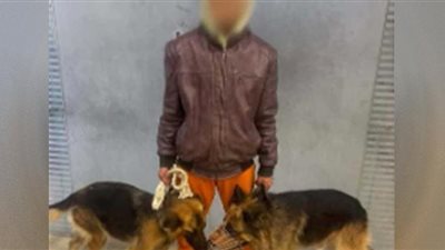 حجز المتهم بترويع المارة بالكلاب في مدينة بدر