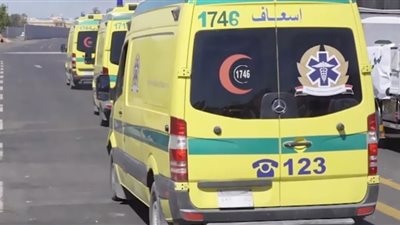 حادث انقلاب سيارة يتسبب في إصابة 12 عامل بطريق أبو سمبل