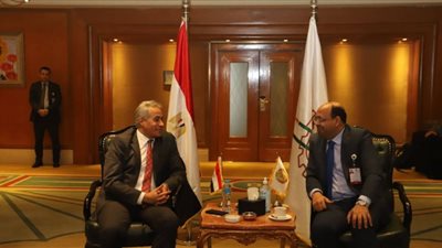 وزير القوى العاملة يلتقي نظيره الموريتاني بمؤتمر العمل العربي
