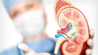 أدوية تبعث أملًا جديدًا في علاج سرطان الكلى