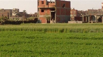 قانون التصالح فى مخالفات البناء.. تعديلات تنتظر التصحيح وعقوبات للمخالفين