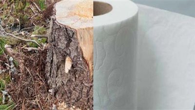 إنتاج ورق التواليت من نفايات القهوة (شاهد)